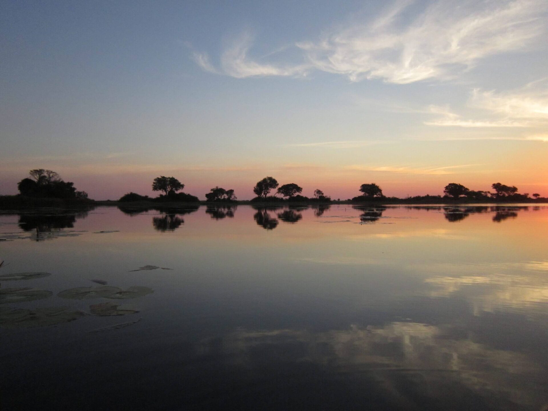 First Memories of a Bush Ways Safari