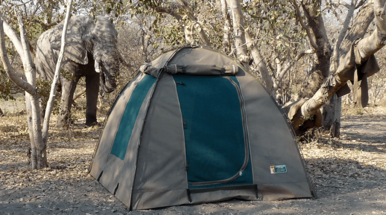 Read more about the article What is a Adventure Camping Safari?