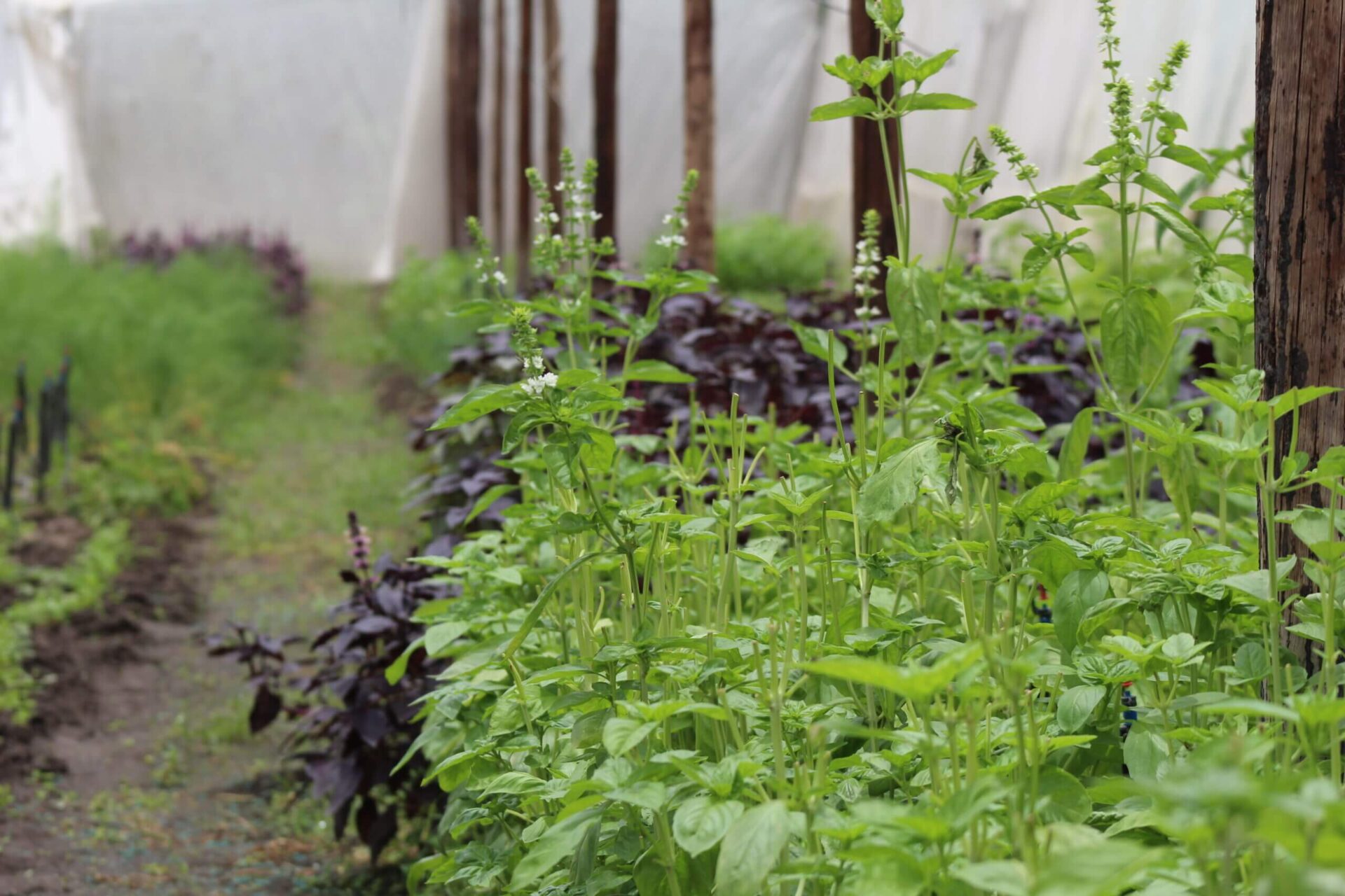 From nuts and bolts to seeds and crops