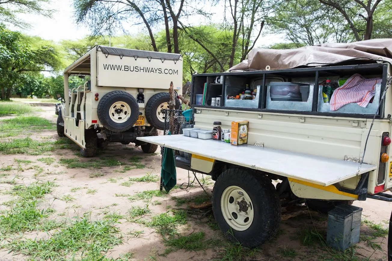 Accommodated Safaris