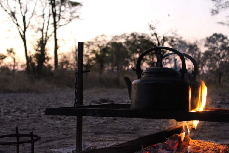 Read more about the article A look into Botswana’s kitchen!