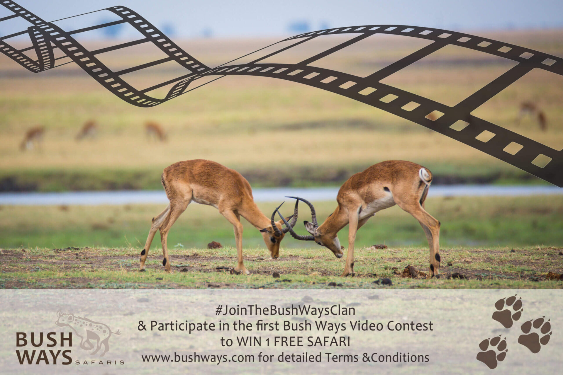 1st Bush Ways Video Contest
