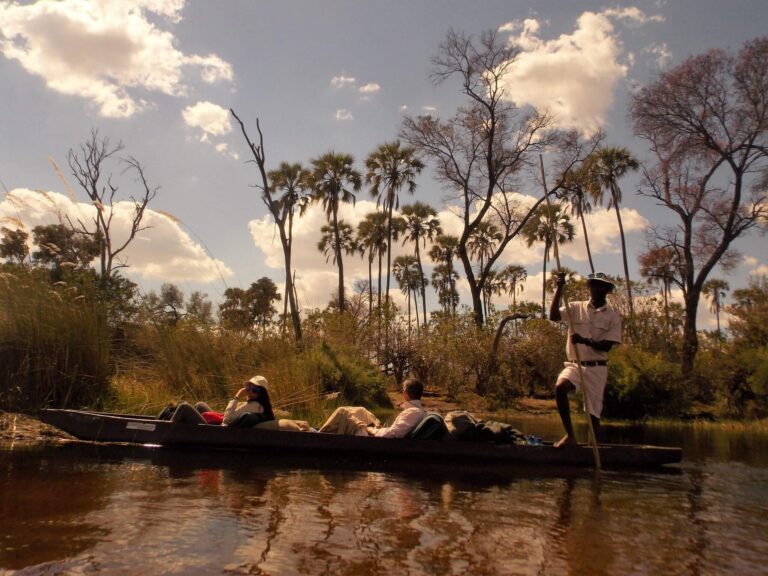 Read more about the article The thrill of a mokoro ride to Ditshiping Island, Okavango Delta