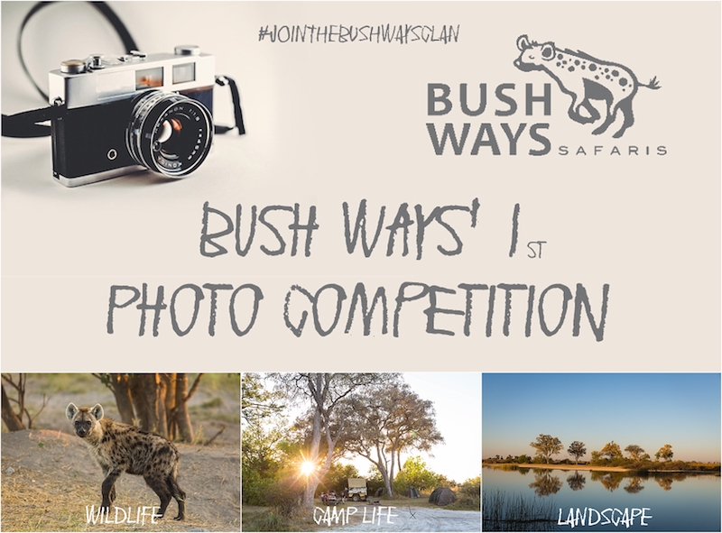 Read more about the article Bush Ways’ 1st PHOTO COMPETITION