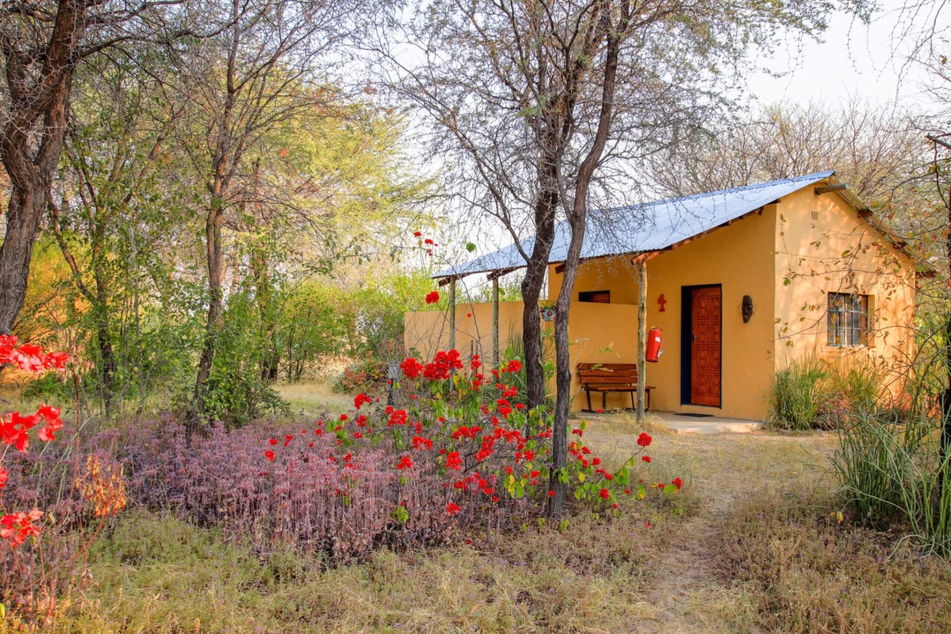 Bush Ways Lodges welcomes a NEW camp –  BOTETI RIVER CAMP