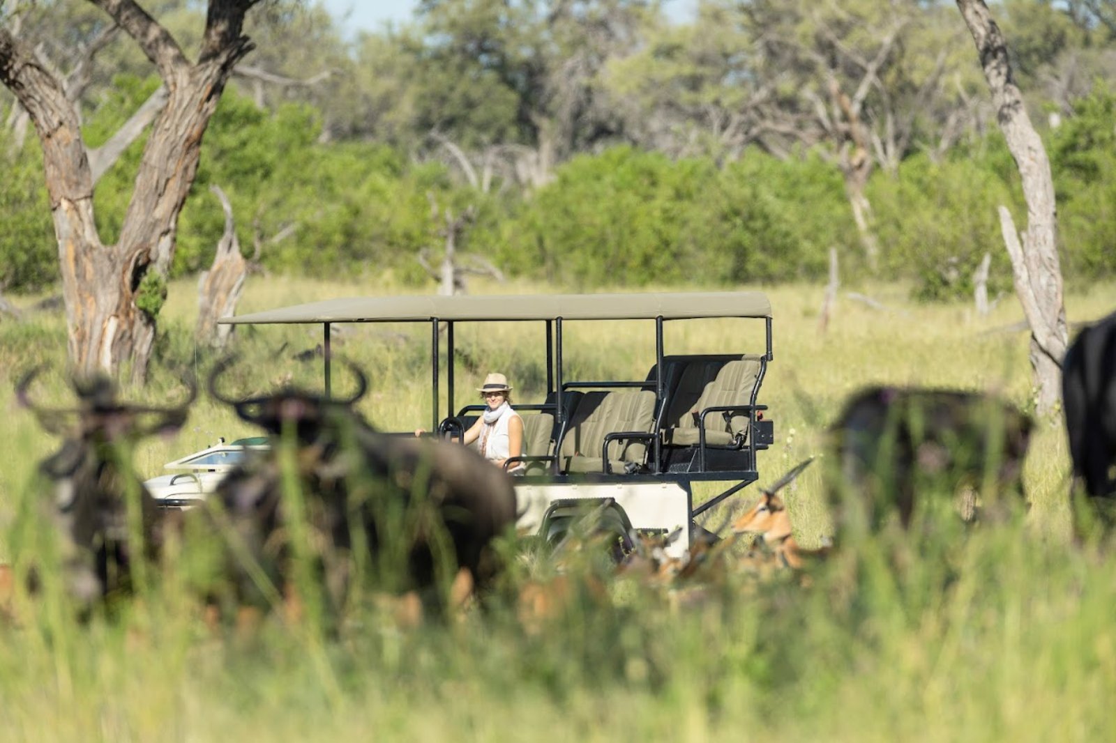 Moremi vehicle