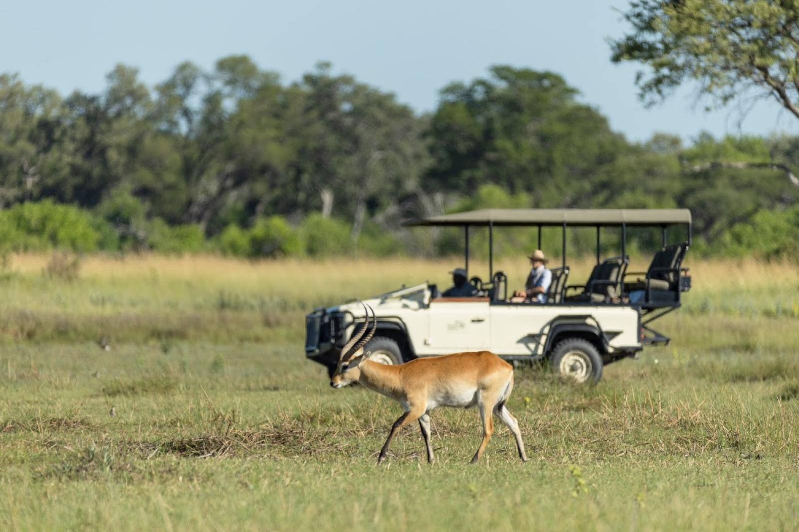 Moremi vehicle