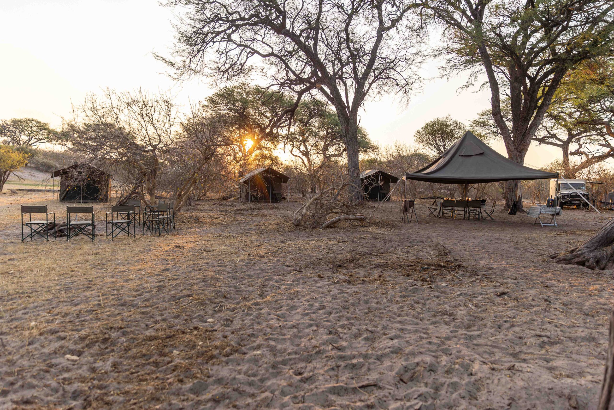 Read more about the article SERVAL SAFARI 6 NIGHTS
