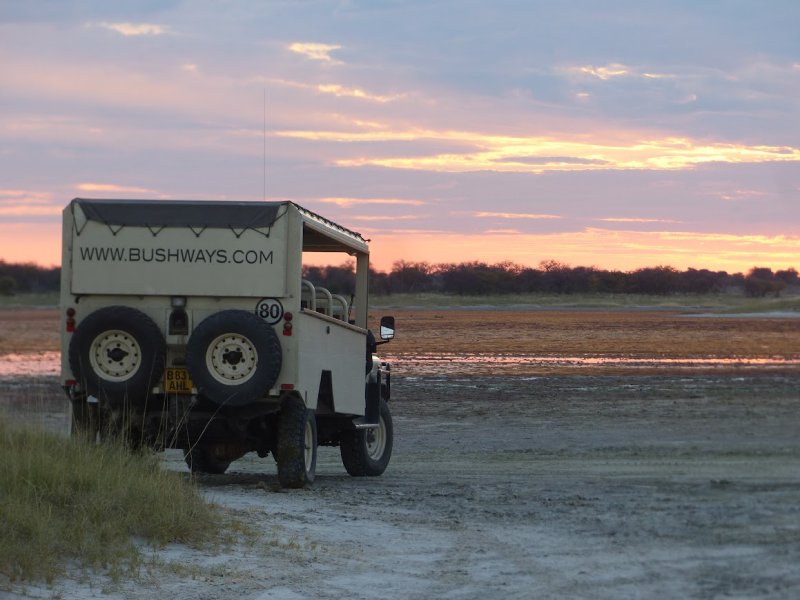 safari vehicle