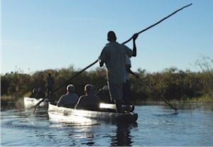 Read more about the article Okavango Delta Gallery