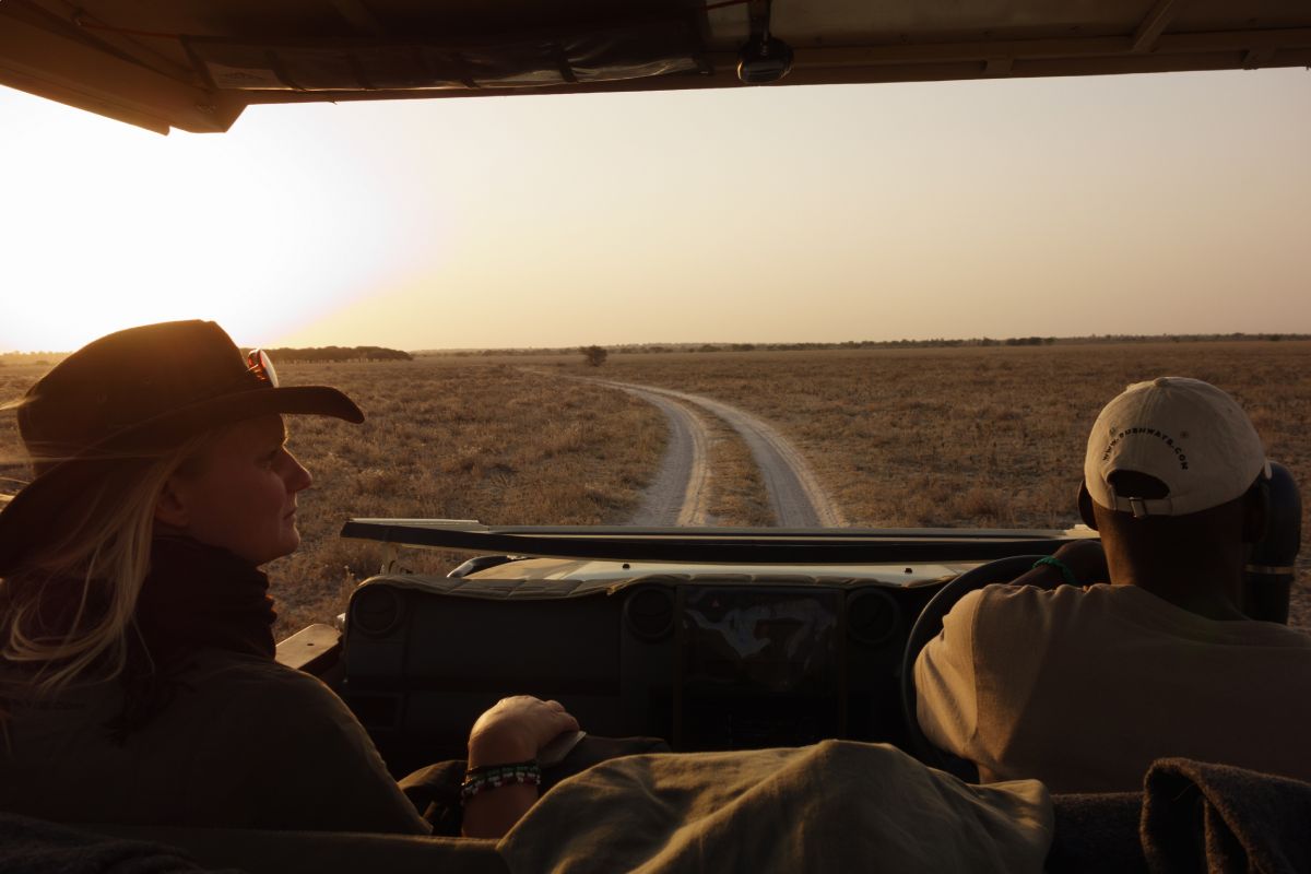 Read more about the article PRIVATE SAFARIS