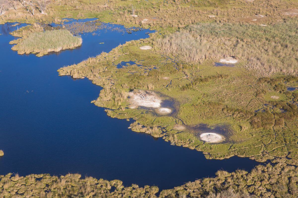 Top view of Okavango Delta