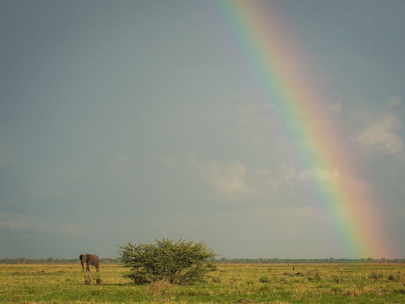 Rainbow in Savute