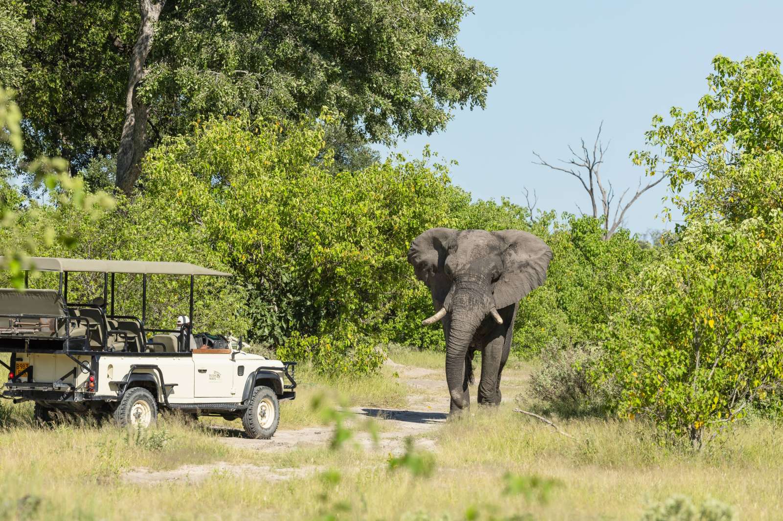 Game Drive 006