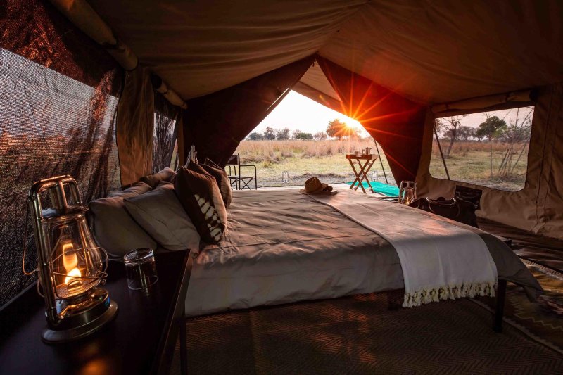 Read more about the article CARACAL SAFARI 8 NIGHTS