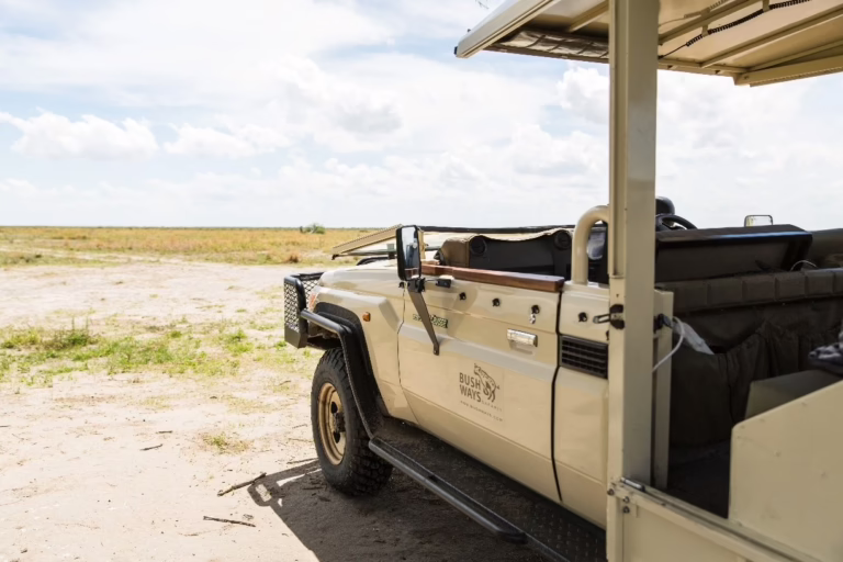 Read more about the article Botswana Visa and Entry Requirements From The US