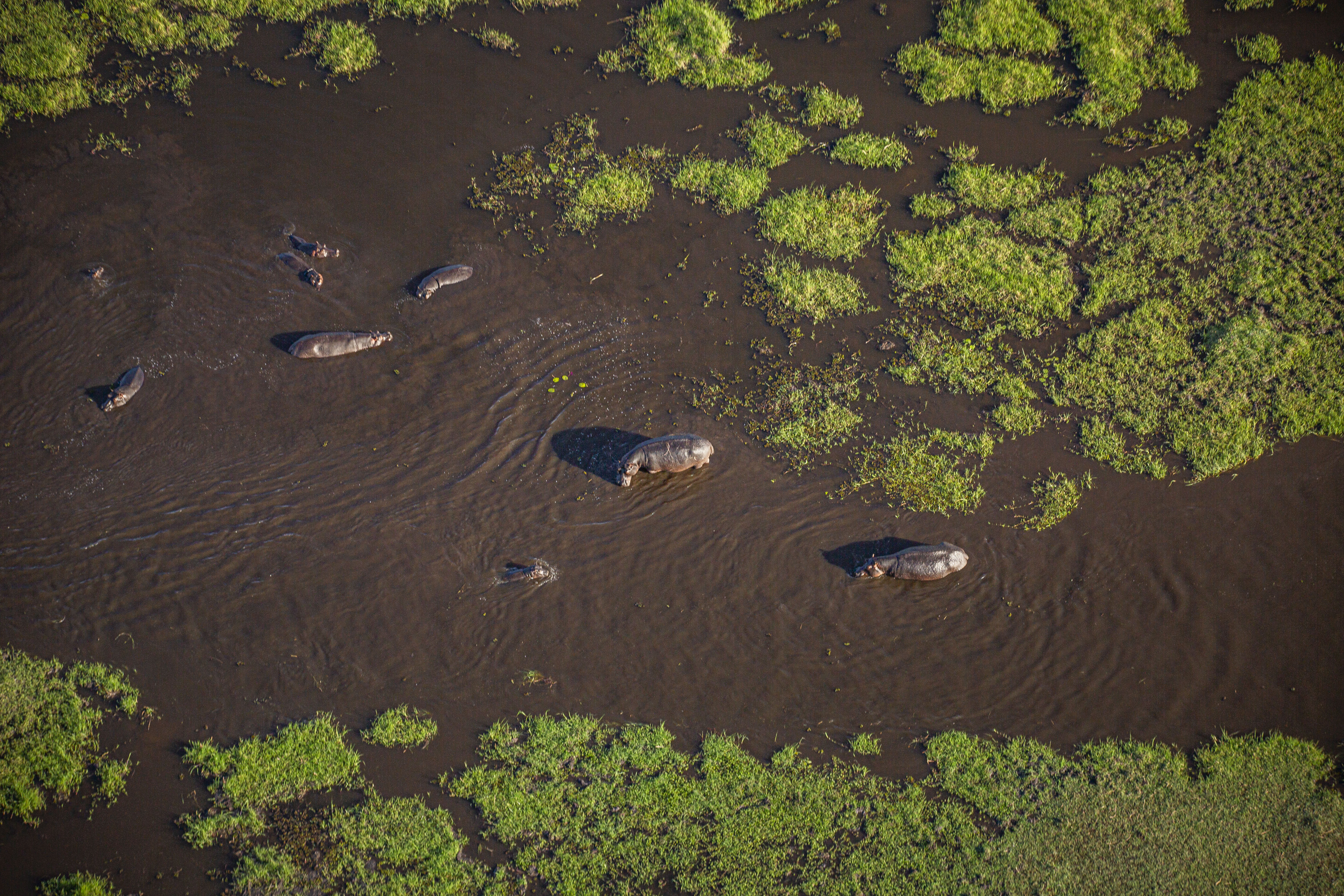Explore Botswana