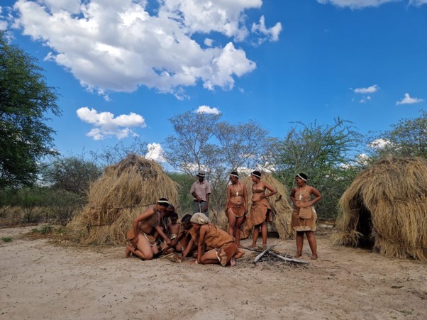 The Complete Guide to Botswana Festivals and Events