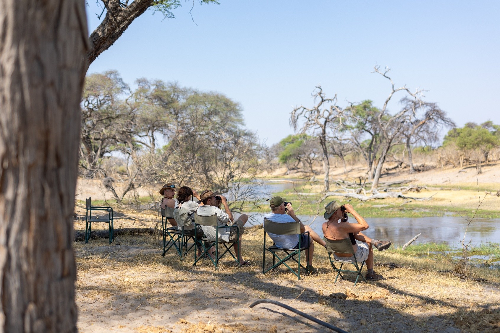Kenya or Botswana Safari