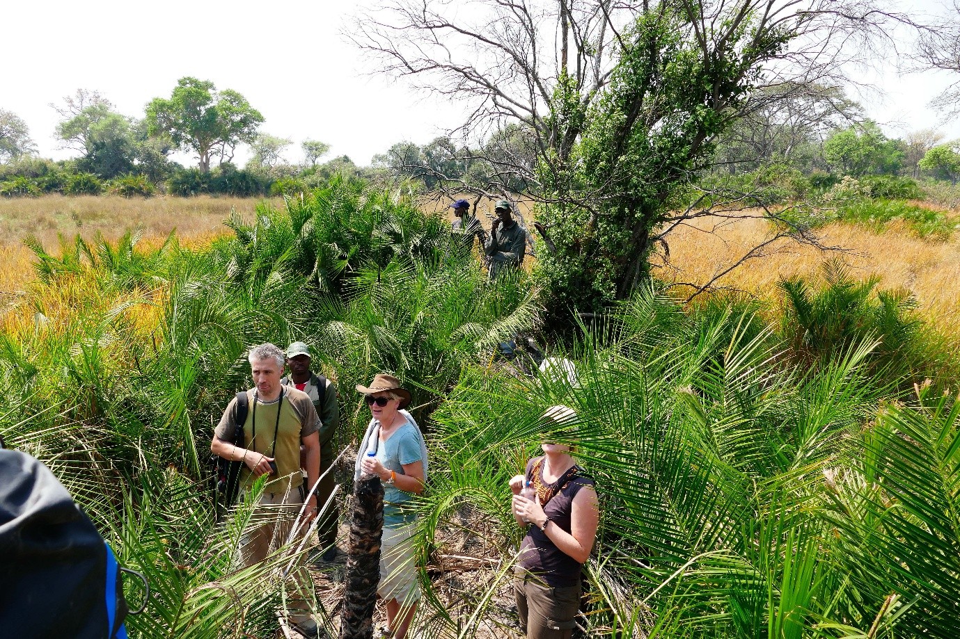 What is Botswana’s Okavango Delta Flood