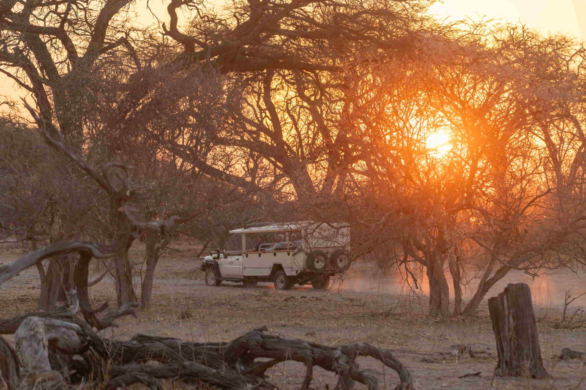 Responsible Predator Viewing on a Guided Safari